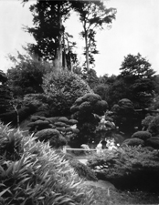 Japanese Tea Garden
