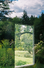 Portal Reflection Photo