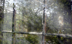 color window reflection image called dpring dreams