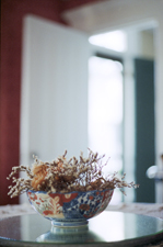 photo of a flower bowl