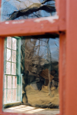 View of Historic York Reflection Image